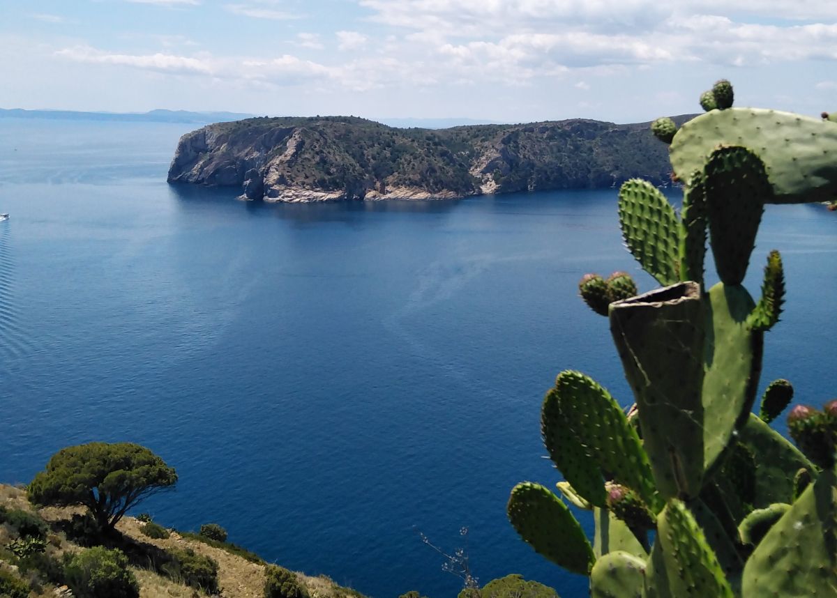 Llançà