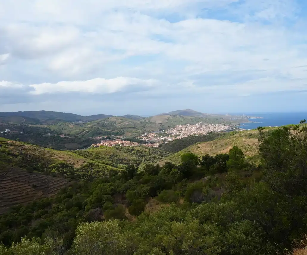 Banyuls sur mer