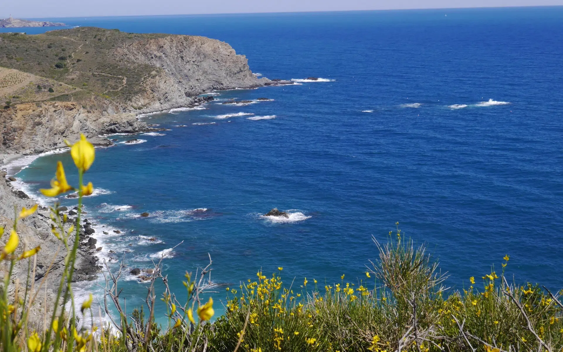 banyuls sur mer