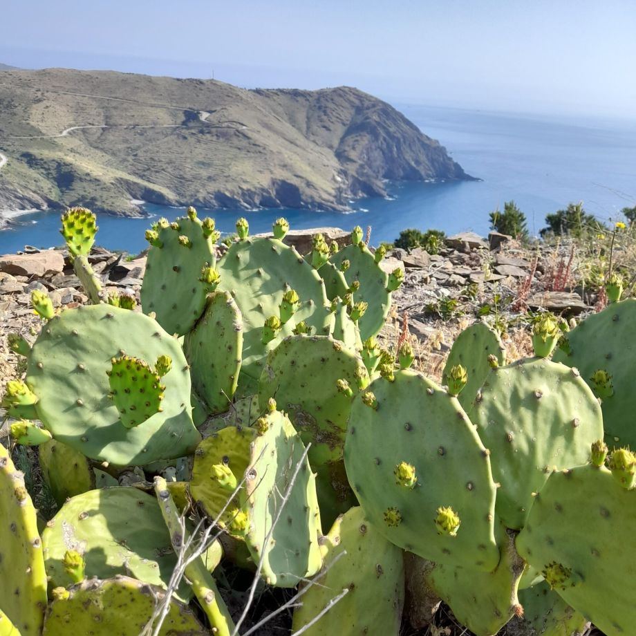 randonnée réveillon