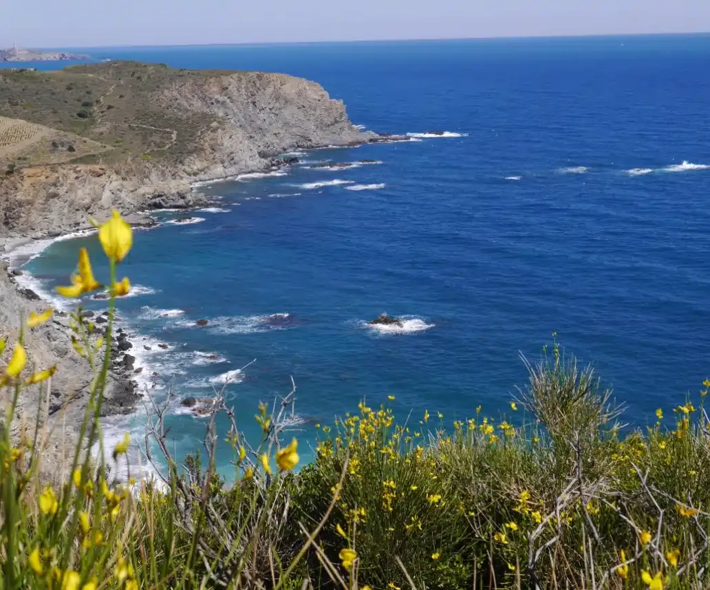Vue depuis le sentier du littoral