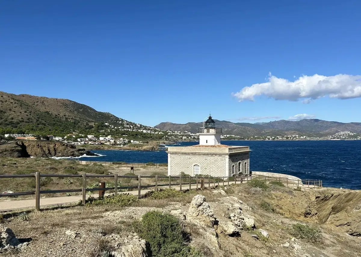 Colera