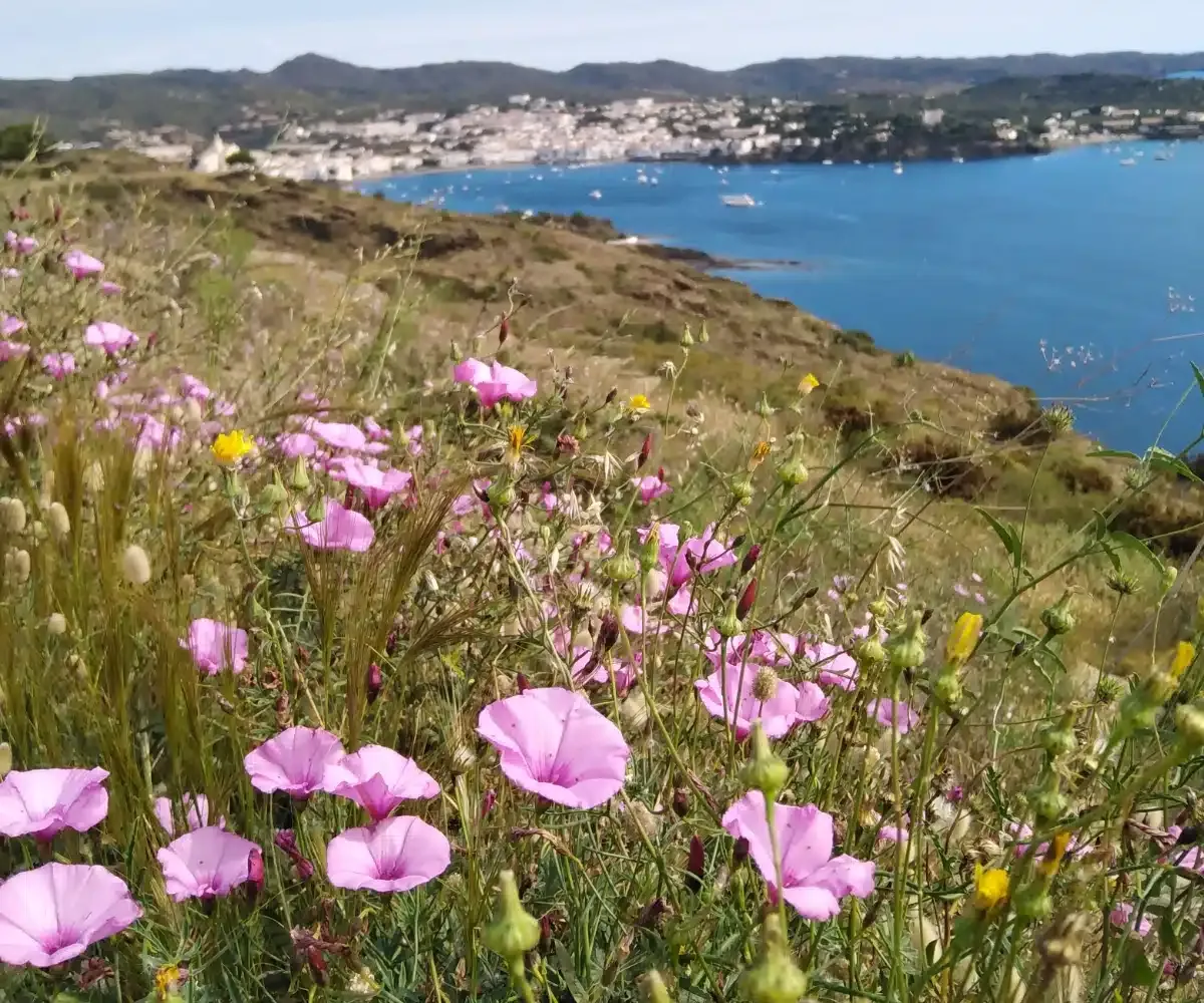 CAP DE CREUS