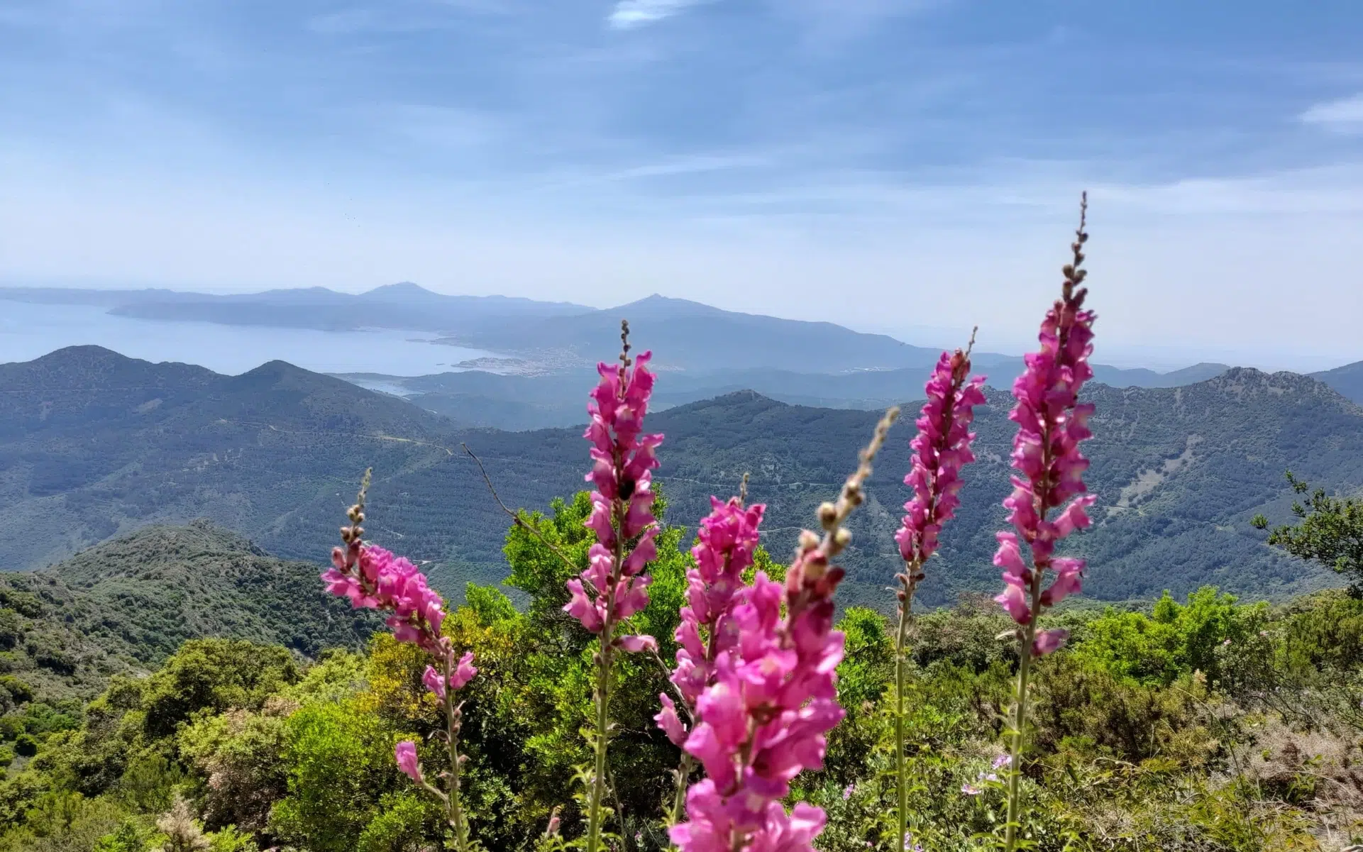 Randonnées Collioure Cadaques