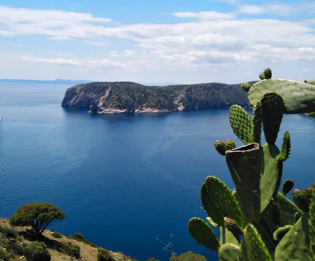 Cap de creus