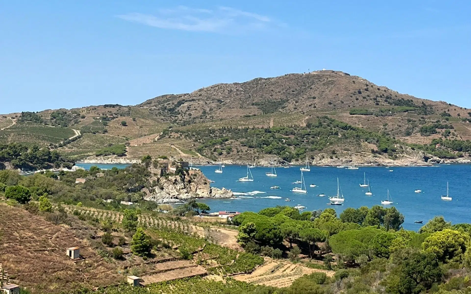 anse de paulille