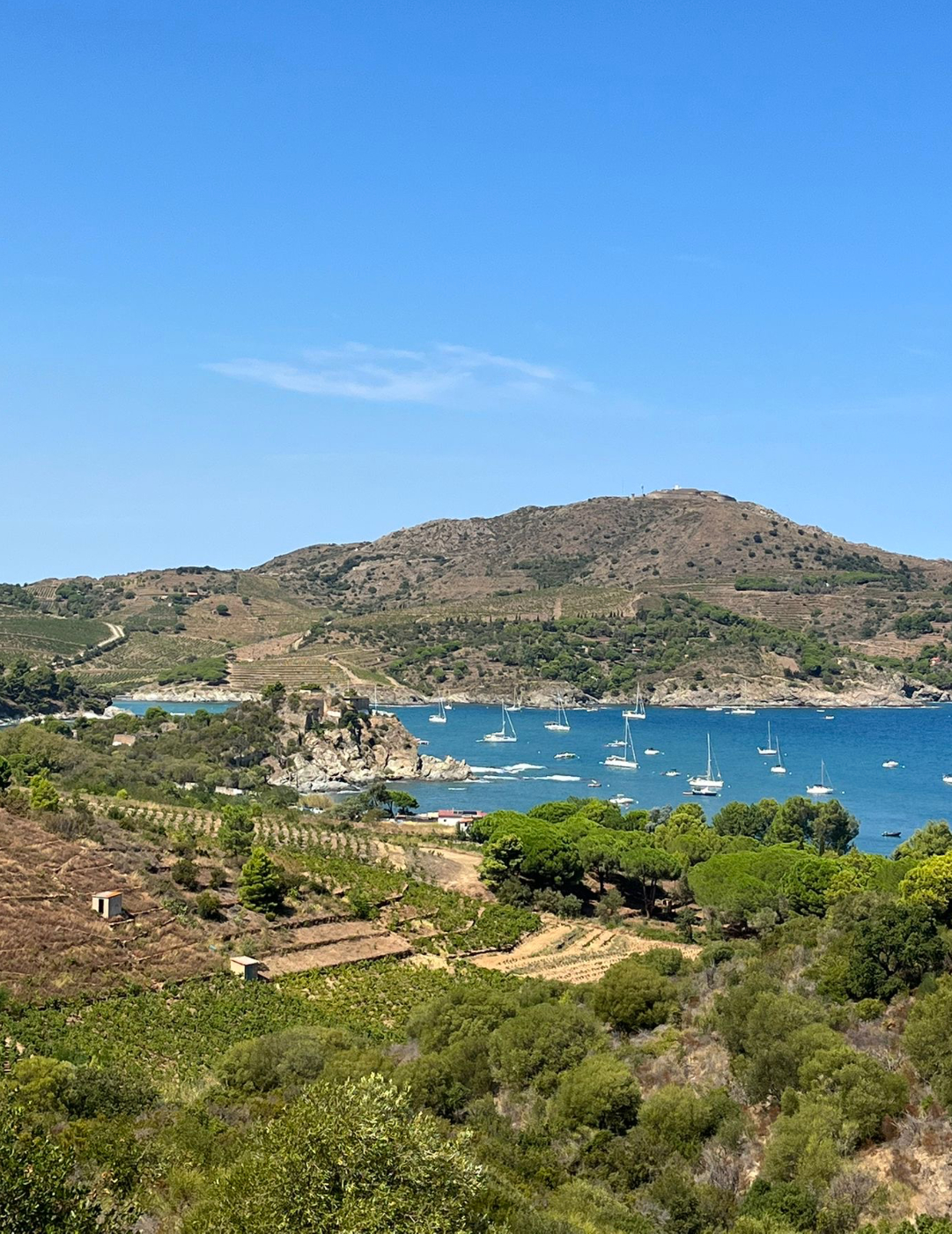 Randonnée de Collioure à Cadaques