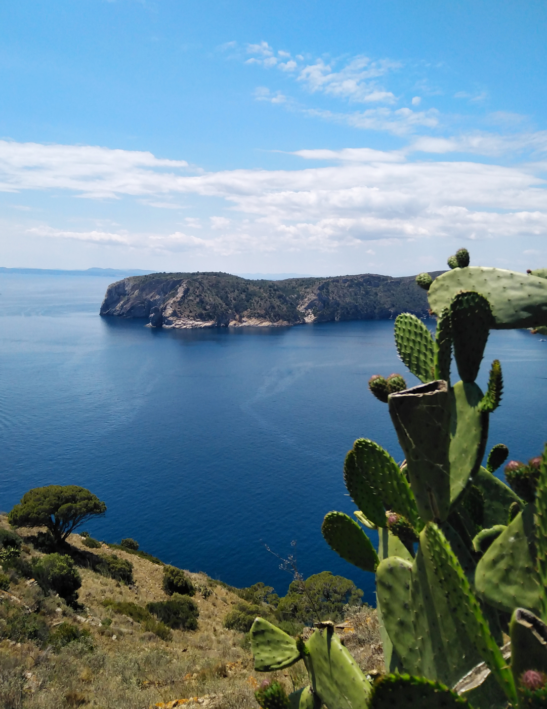 Cap de creus