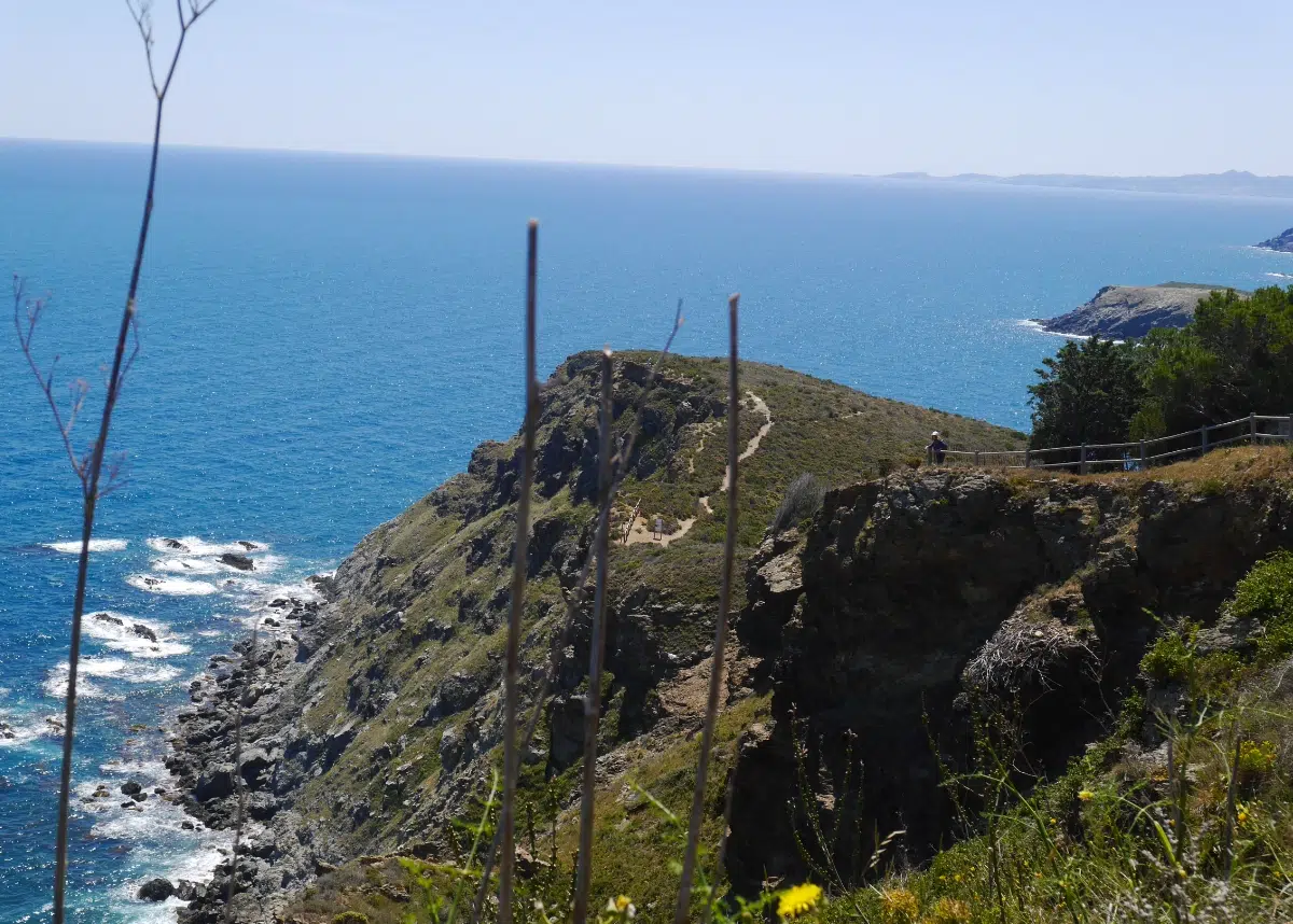 séjour liberté à Banyuls sur mer