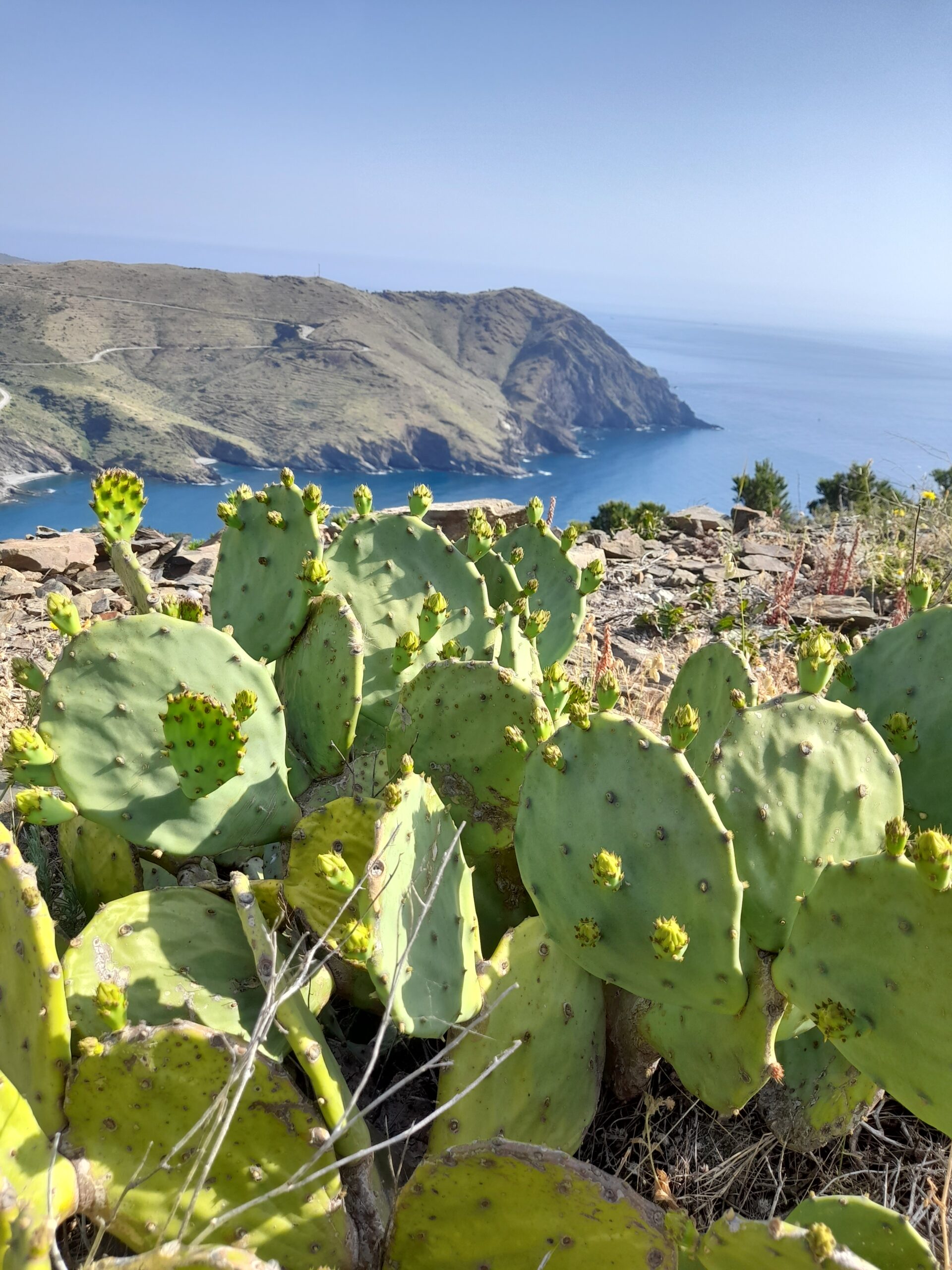 randonnée réveillon