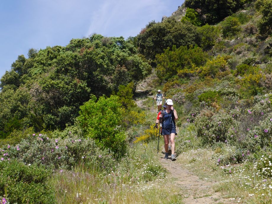 Séjour liberté à Banyuls sur Mer