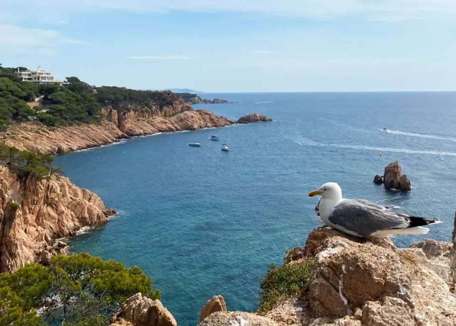 Costa Brava à vélo